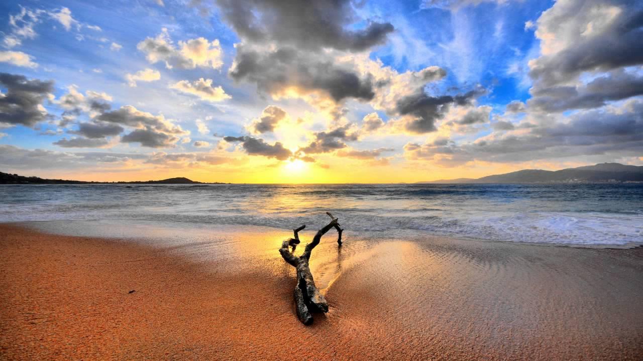  - Omnimotion