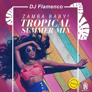 Zamba Baby!/Tropical Summer Mix - DJ FLAMENCO