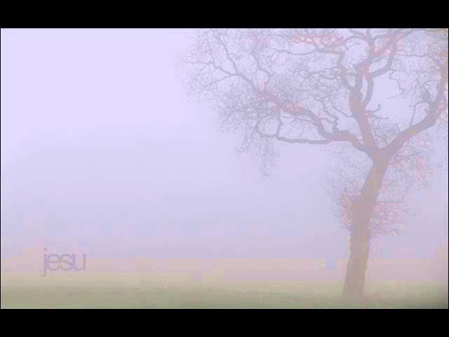 Silver - Jesu
