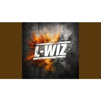 Dome Wall - L-Wiz