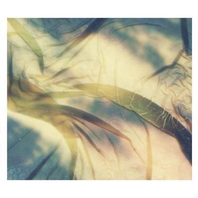 Kansai Botanicals - Deadbeat