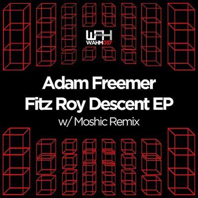 Fitz Roy Descent - Adam Freemer