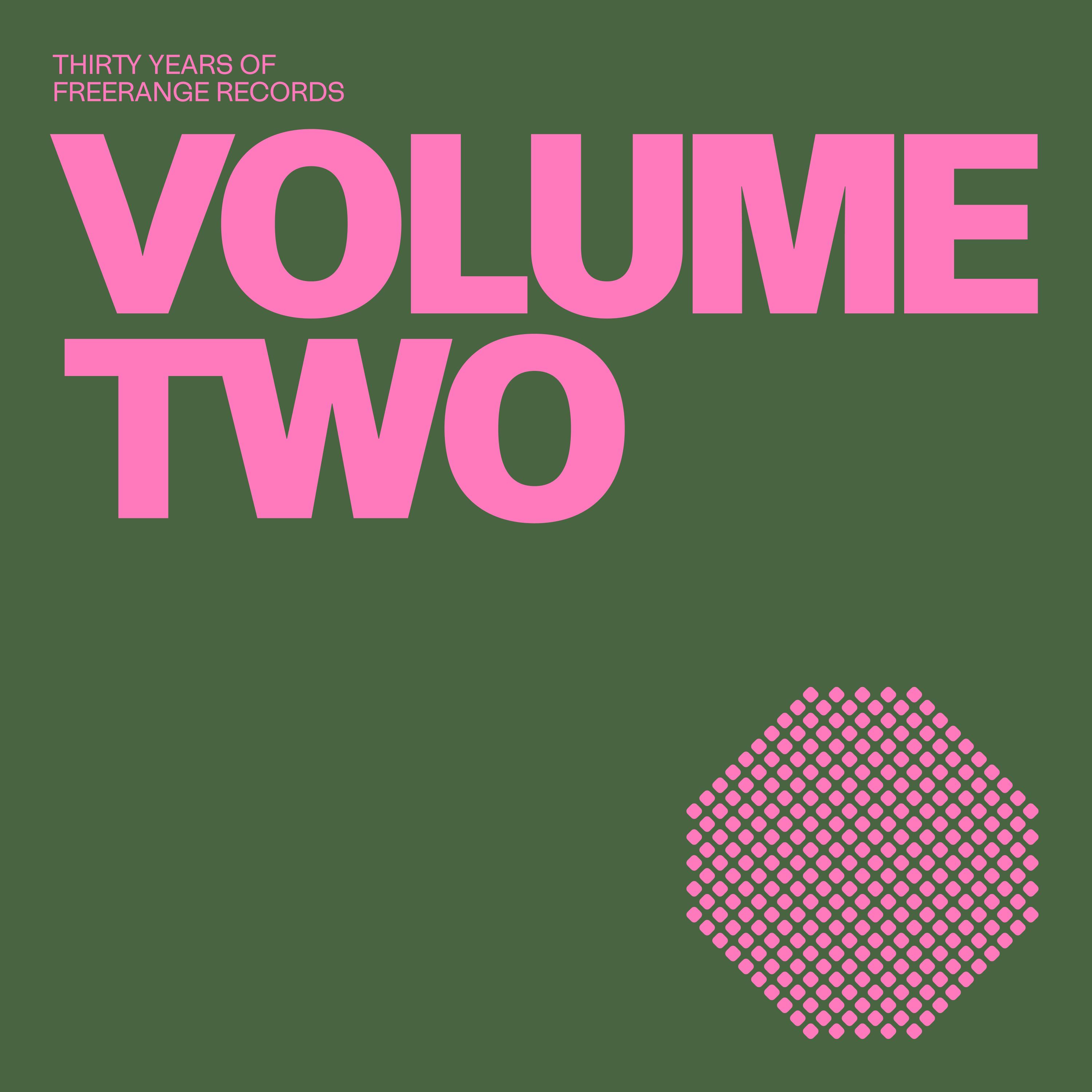 FR317 - 30 Years Of Freerange Vol. 2 - Aroop Roy