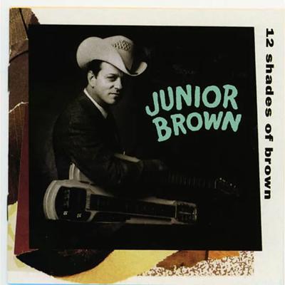 12 Shades Of Brown - Junior Brown