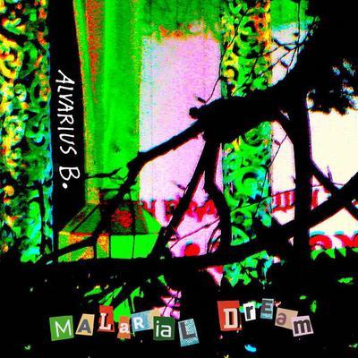 Malarial Dream - Alvarius B.