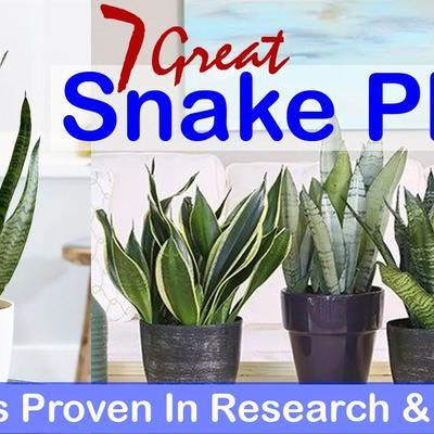 First Release - Research Garden