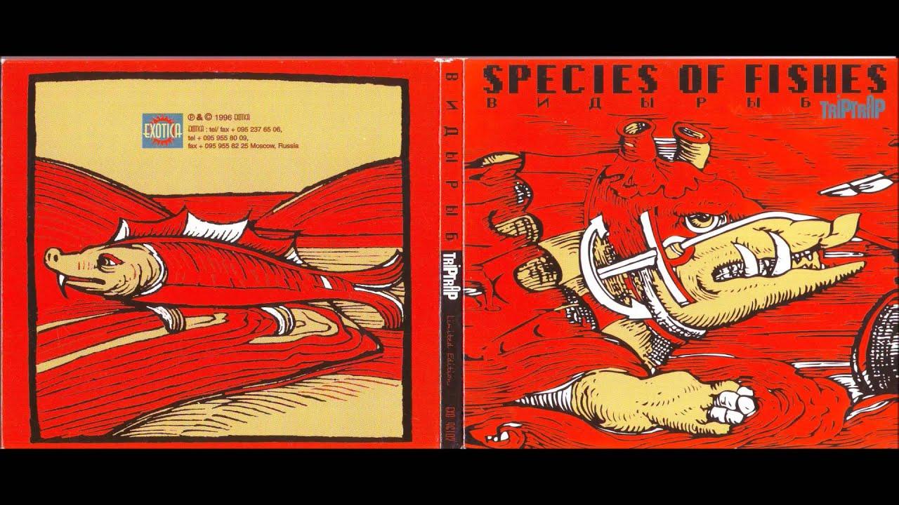 Species Of Fishes - Виды рыб
