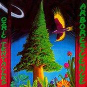 Arborescence - Ozric Tentacles