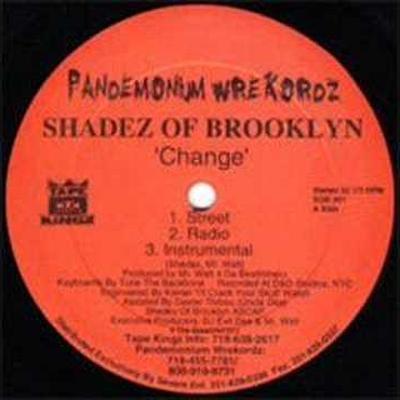 Change / When It Rains It Pours (Survival Warz!) - Shadez of Brooklyn