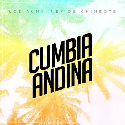 Bailando Con Los Cariñosos - Los Rumbaney