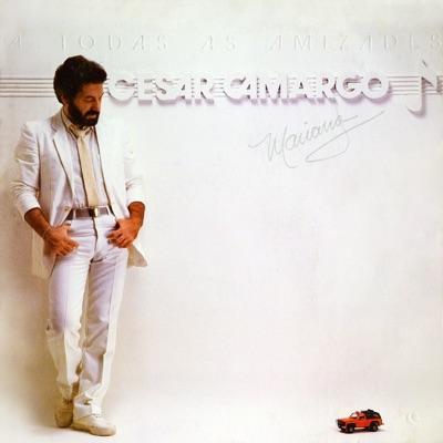 A Todas As Amizades - Cesar Camargo Mariano