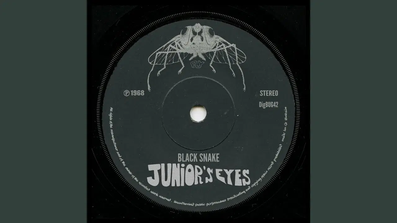  - Junior's Eyes