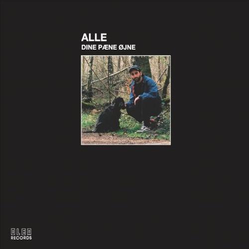  - Alle