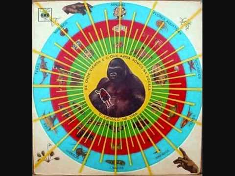 Infinite Reflection (Deluxe Edition) - Pedro Sorongo
