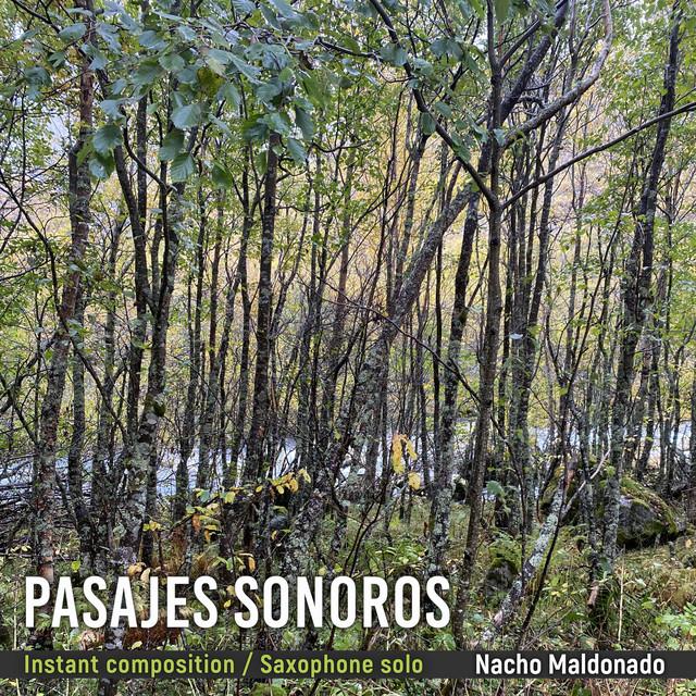 Pasajes Sonoros, Instant Composition / Saxophone Solo - Nacho Maldonado