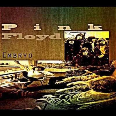  - Embryo