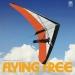 Flying Free - Sean Wolcott