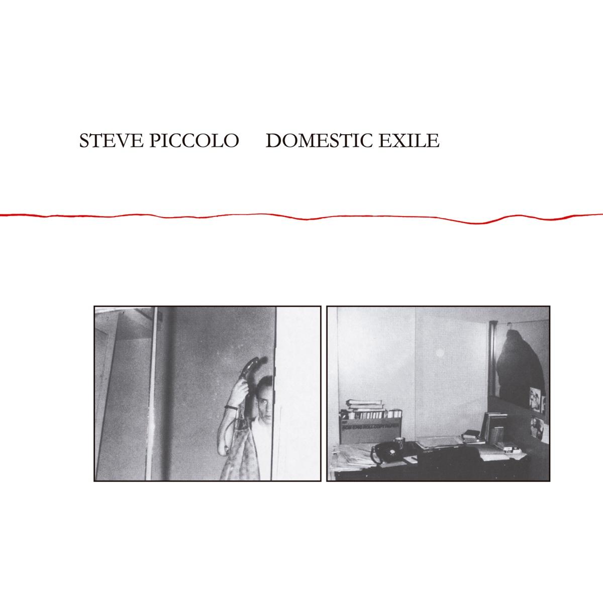 Domestic Exile - Steve Piccolo