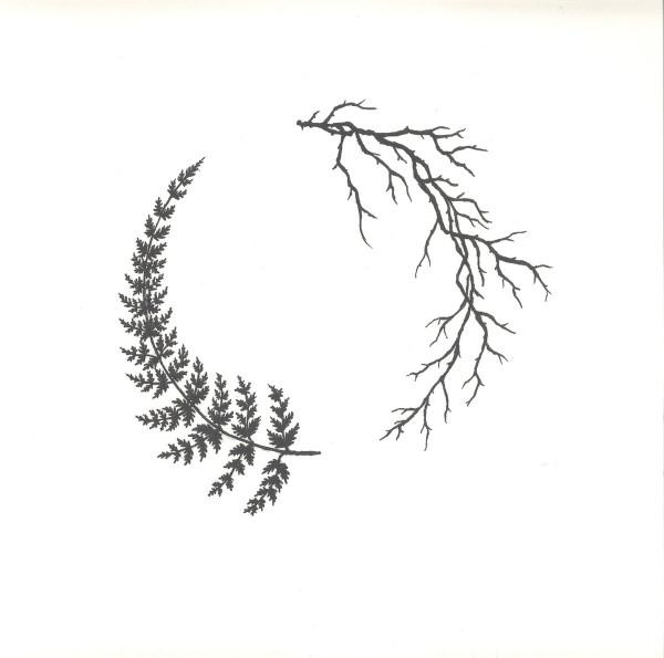 Unison // Einklang - Submersion & mon0