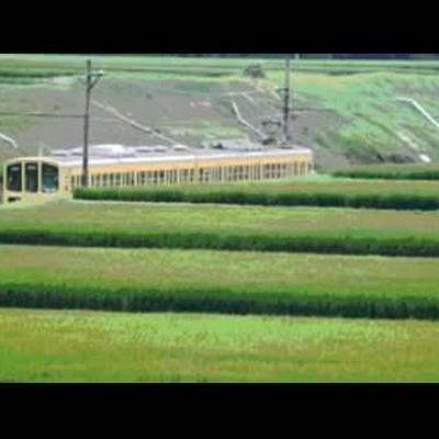  - 小坂忠とフォージョーハーフ