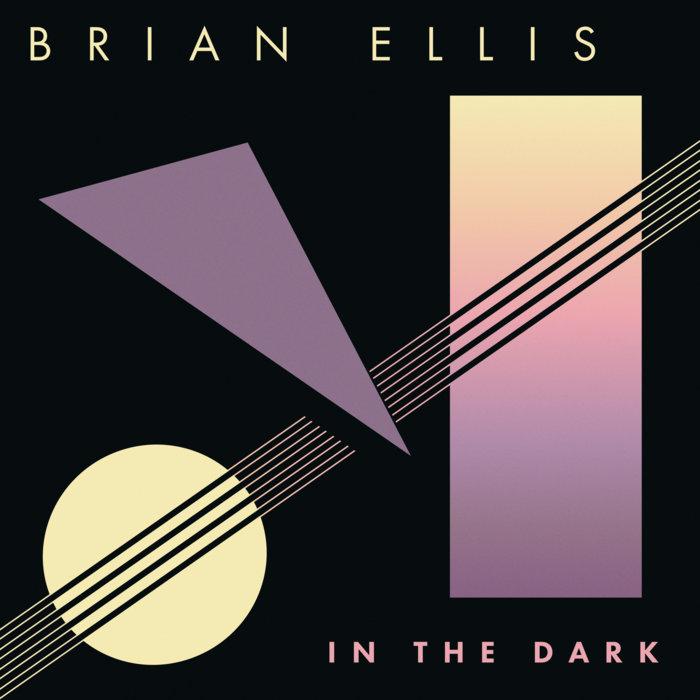 In The Dark (10th Anniversary LP) - Brian Ellis