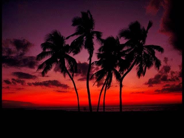 Love and Ka Dance - Kassav'
