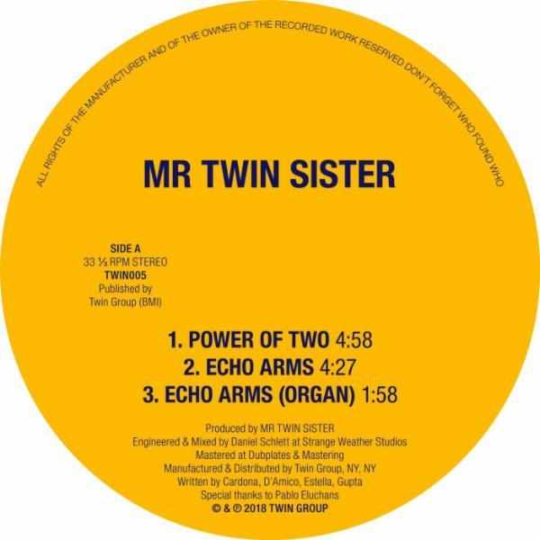 Power of Two / Echo Arms - Mr Twin Sister