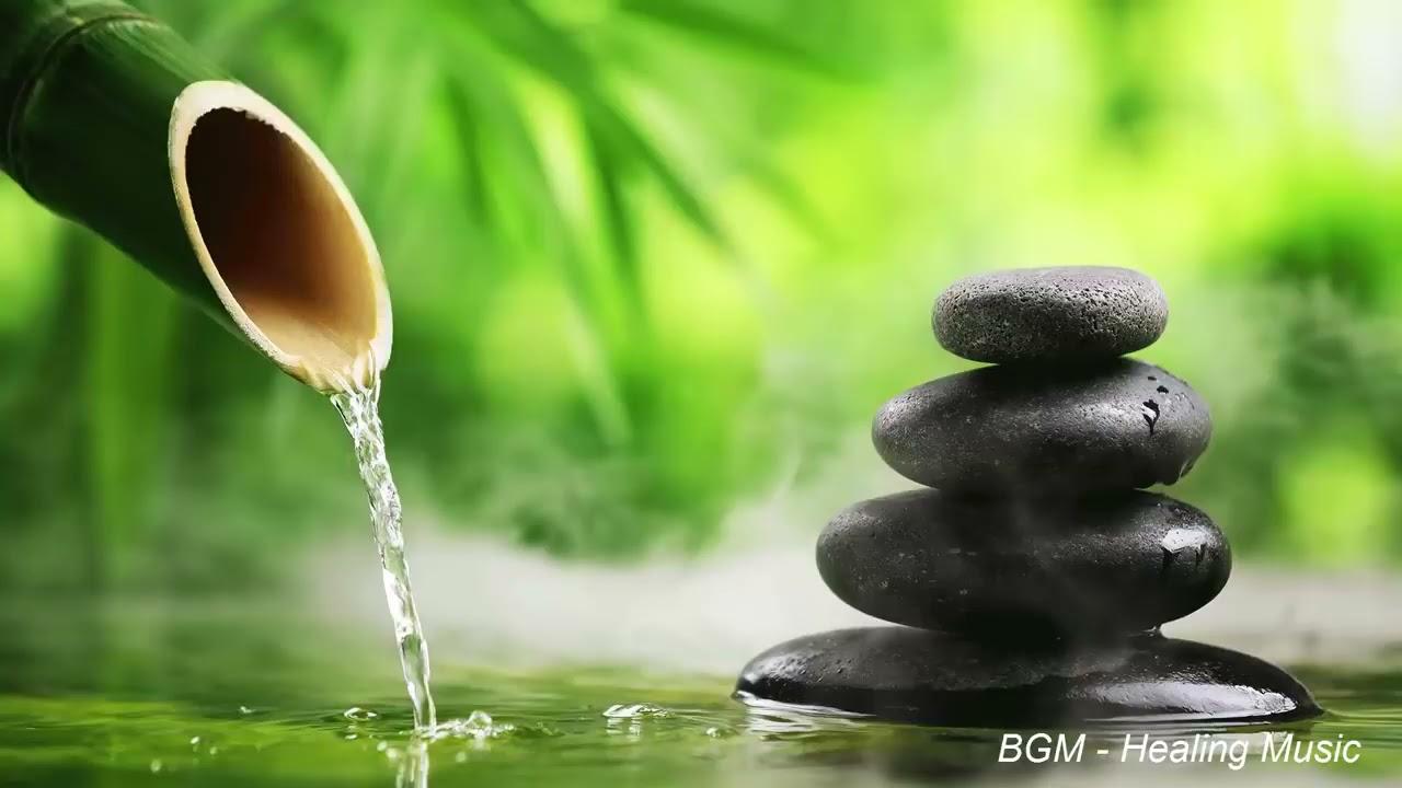 Bamboo - Bamboo