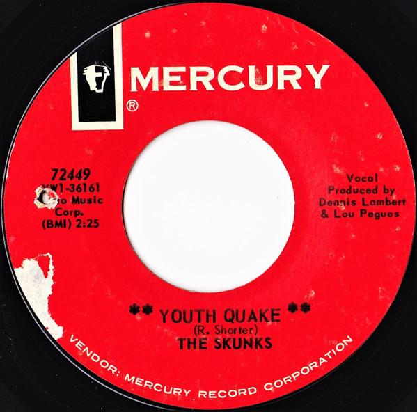 Youth Quake  - The Skunks