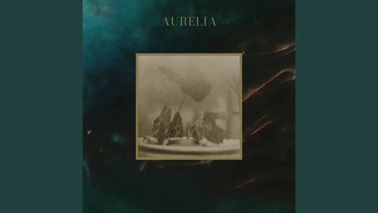 Aurelia - deary