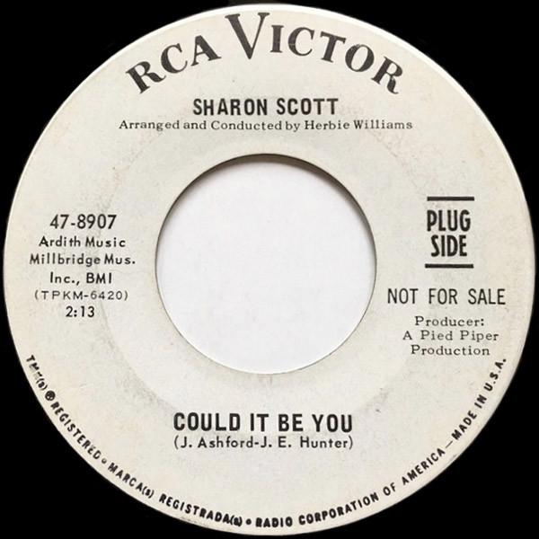 Could It Be You - Sharon Scott