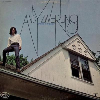 Spiders In The Night - Andy Zwerling