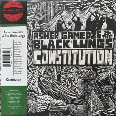 Constitution - Asher Gamedze & The Black Lungs