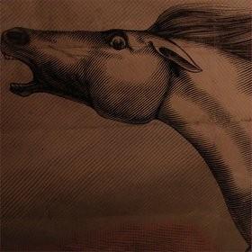 Mare - Julian Lynch