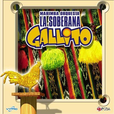 Cumbia Panoramica / Ahi Viene La Negra - Marimba Orquesta Gallito