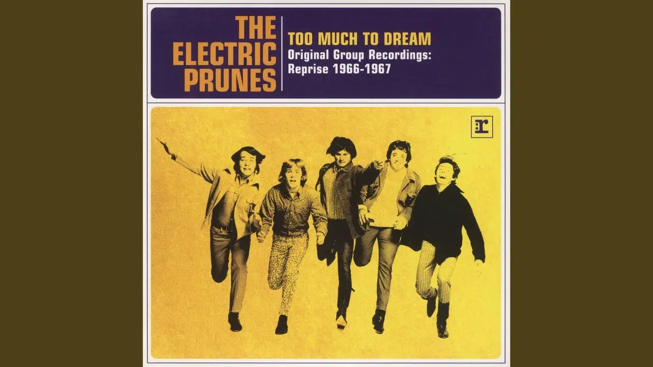 I Had Too Much To Dream (Last Night) - The Electric Prunes