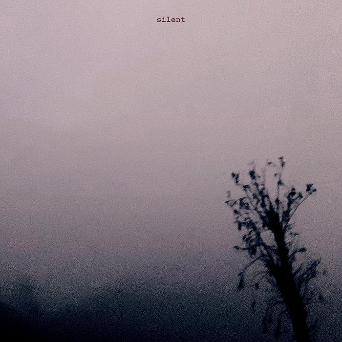Silent - Kevin Richard Martin / Dis Fig