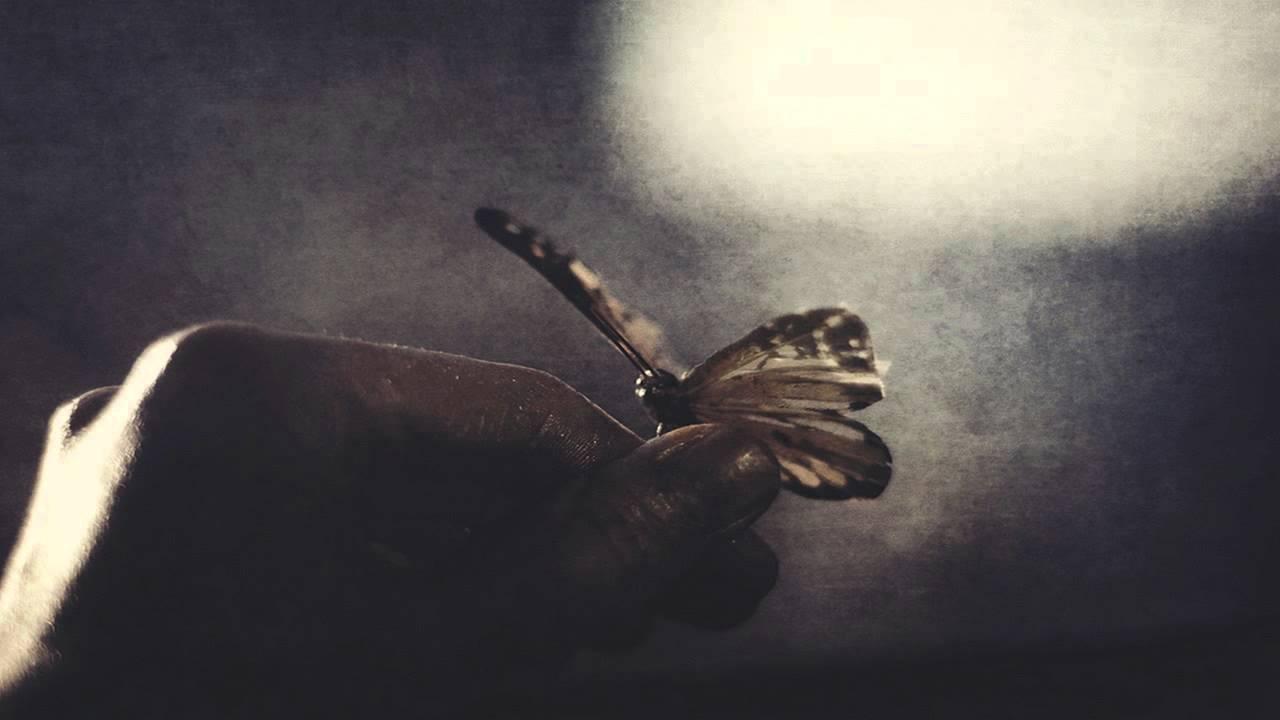 Mariposa - Bardo State