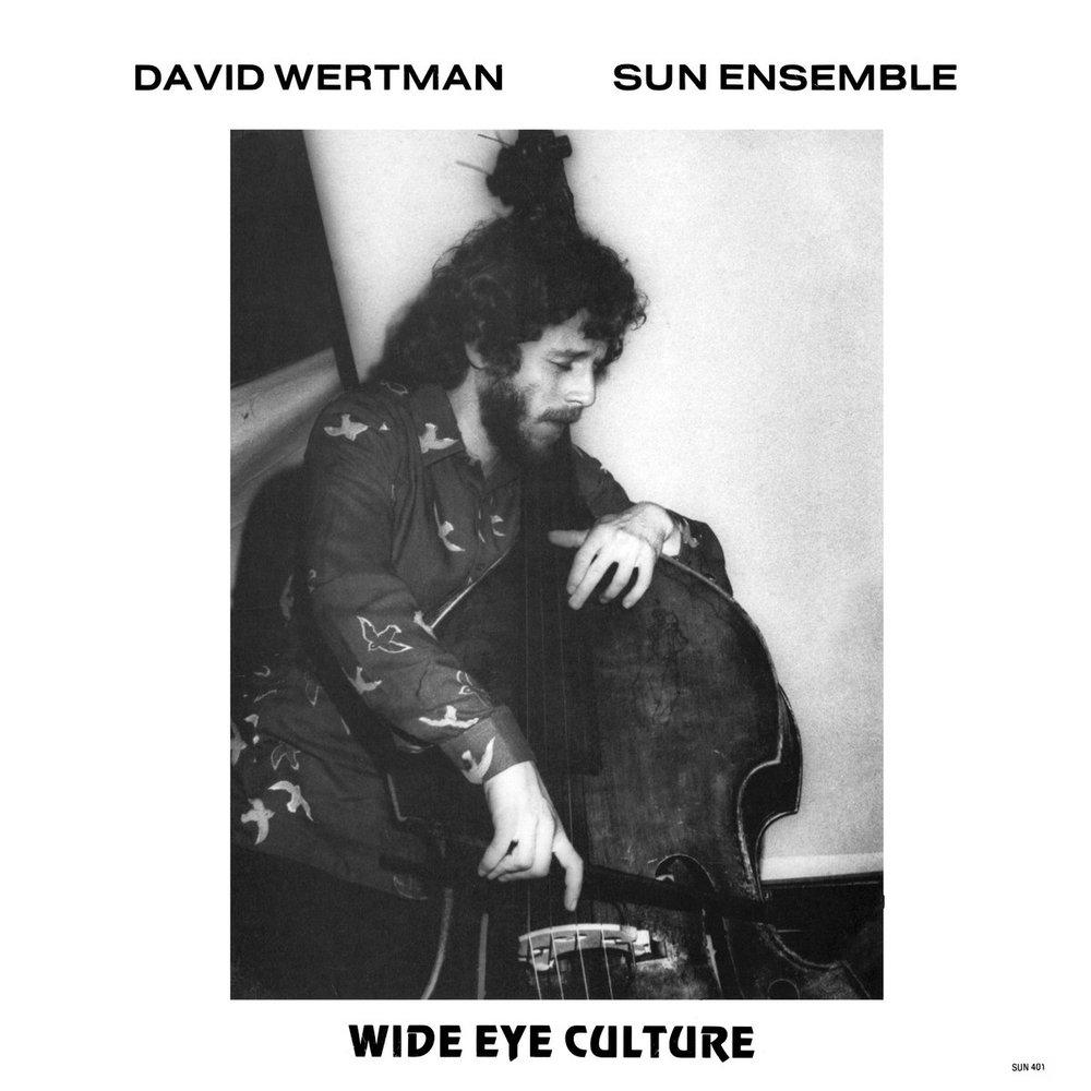 David Wertman & Sun Ensemble - Wide Eye Culture - David Wertman, Sun Ensemble