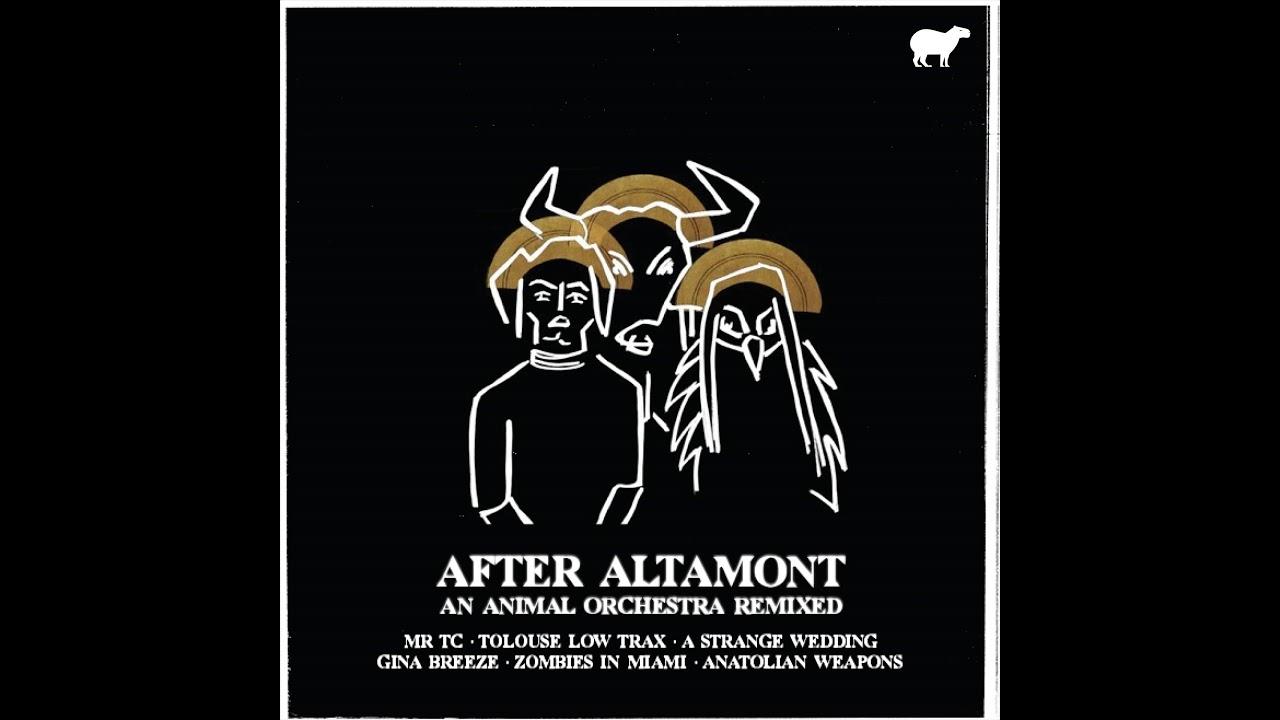  - Altamont