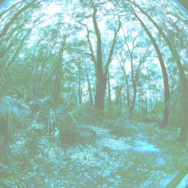 Opening Space - Open Spaces