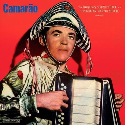  - Camarão