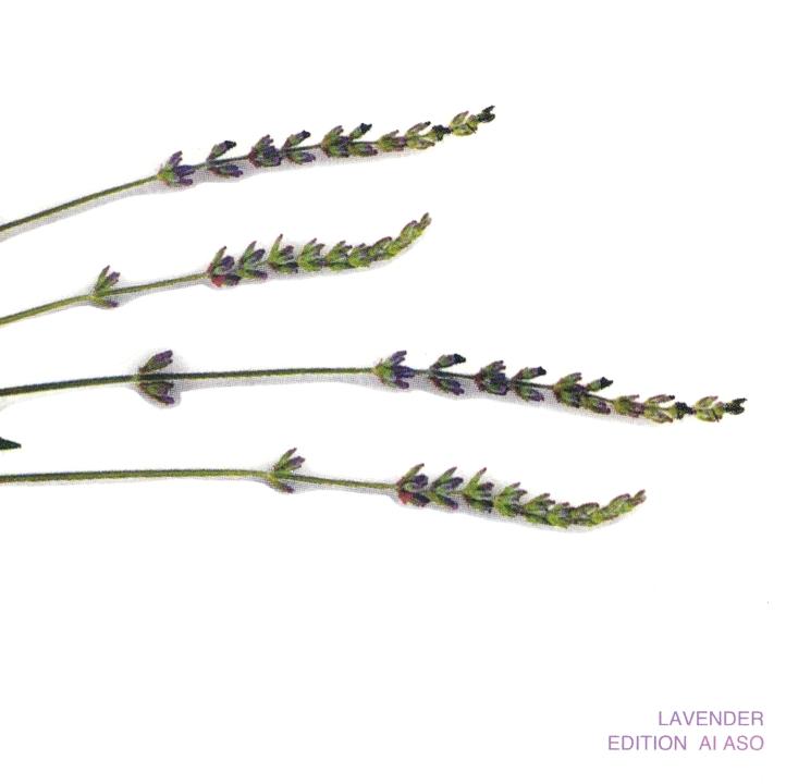 Lavender Edition - Ai Aso