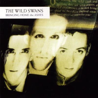 Bringing Home the Ashes - The Wild Swans
