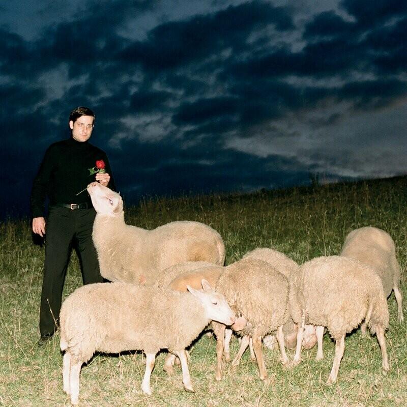 Salt Lick - Richard Lamb