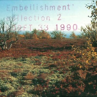 Various Artists - Embellishment Collection 2 - Spilding