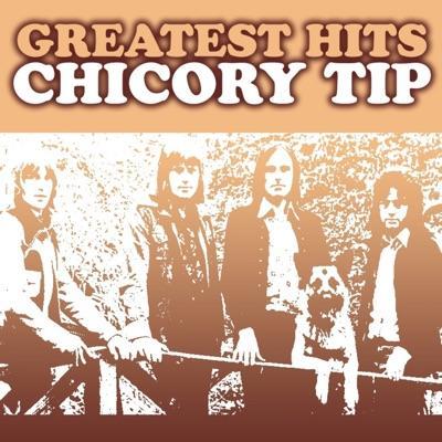  - Chicory Tip