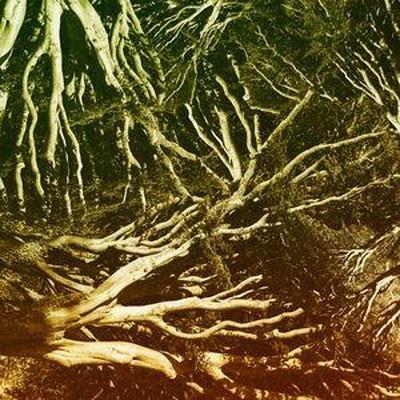 Balearic Mikes Diets - 14/02/2016 - New, Slow, Nice (AIFF) - Jascha Hagen