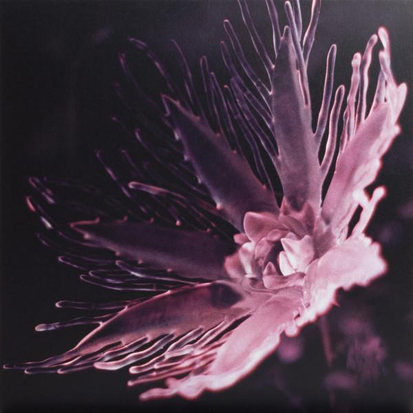 Listless - Dania