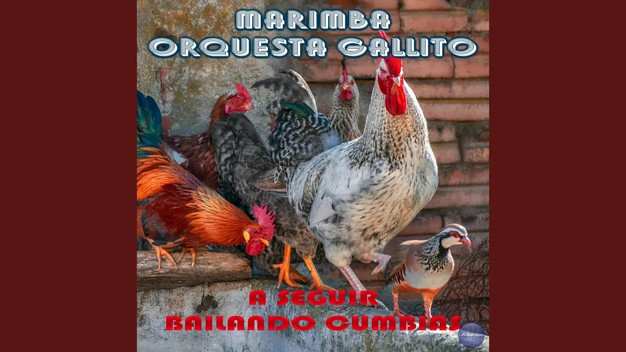 Cumbia, Ritmo y Palmeras - MARIMBA ORQUESTA GALLITO